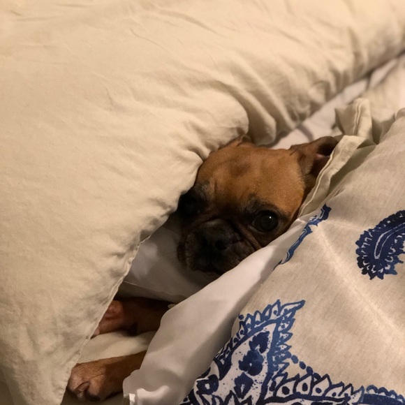 Meet your seller - Picture 5 of 10